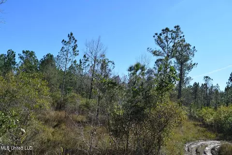 0000 Reese Dr, Saucier, MS 39574 photo 6
