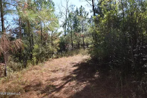0000 Reese Dr, Saucier, MS 39574 photo 3