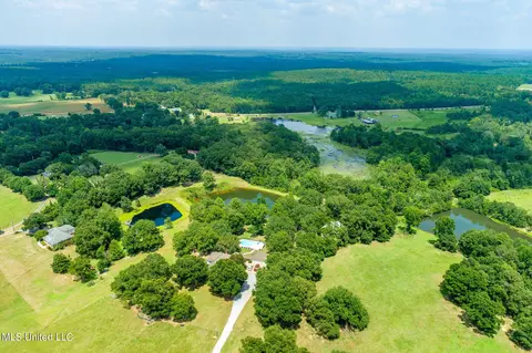 2130 Ward Pineview Rd, Lucedale, MS 39452 photo 37