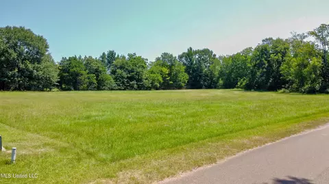 Northaven Drive, Jackson, MS 39209 photo 5