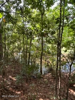 0 Meadowdale Dr  