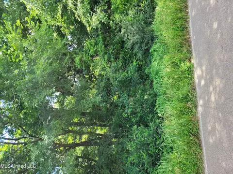 Old Port Gibson Rd/bush Bottom, Edwards, MS 39066