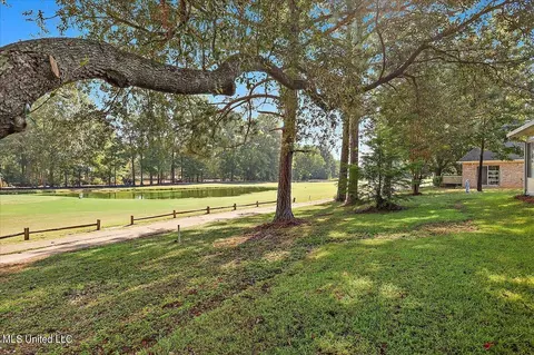 332 Hanley Cir, Brandon, MS 39047 photo 41