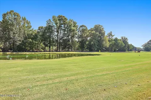 332 Hanley Cir, Brandon, MS 39047 photo 37