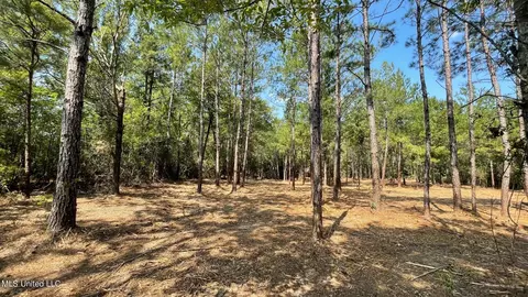 Vic Wertz Road, Saucier, MS 39574