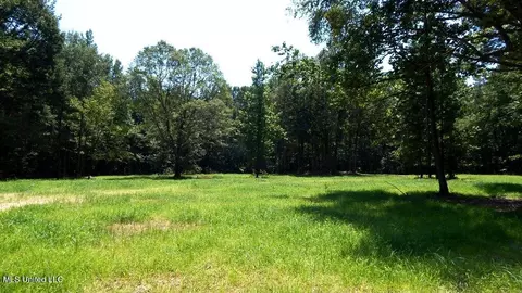 575 Kimes Cv, Sardis, MS 38666