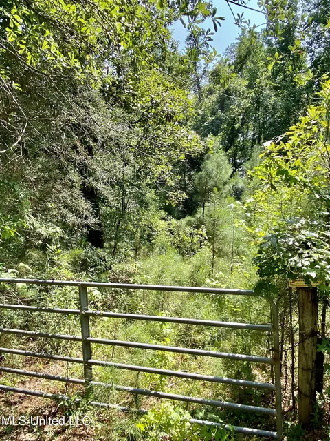 98 Wilmon Burge Rd, Carriere, MS 39426