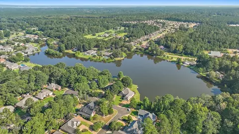 103 Red Oak Trl, Brandon, MS 39047 photo 42