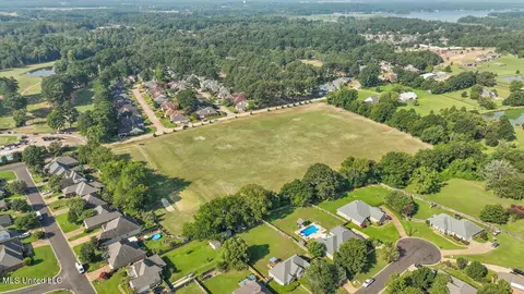 103 Red Oak Trl, Brandon, MS 39047 photo 46