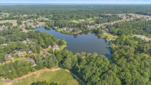 103 Red Oak Trl, Brandon, MS 39047 photo 44