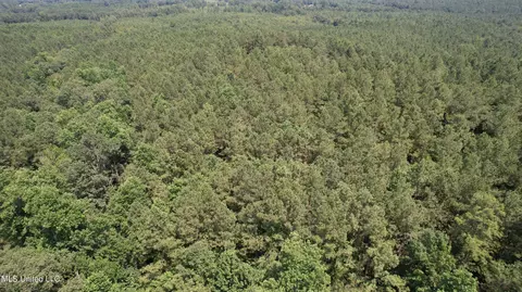 00 Liberty Rd, Little Rock, MS 39337