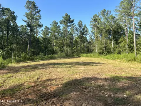 Ms-17, Pickens, MS 39146 photo 11
