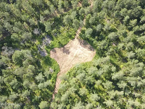 Ms-17, Pickens, MS 39146 photo 49