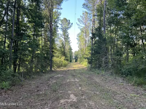 Ms-17, Pickens, MS 39146 photo 26