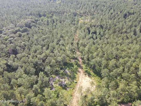 Ms-17, Pickens, MS 39146 photo 47