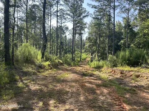 Ms-17, Pickens, MS 39146 photo 10