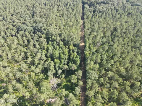 Ms-17, Pickens, MS 39146 photo 50