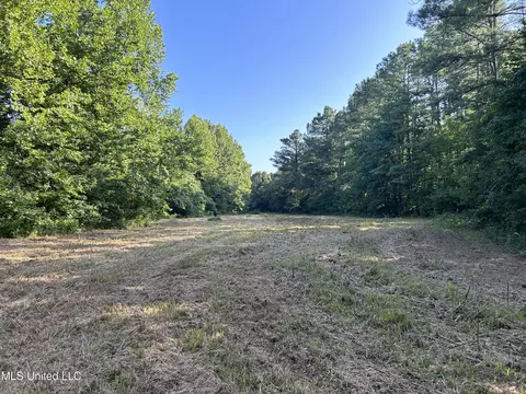Ms-17, Pickens, MS 39146 photo 15