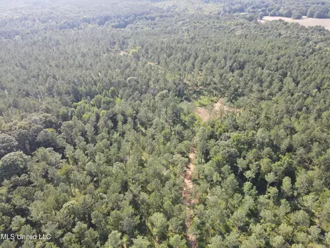 Ms-17, Pickens, MS 39146 photo 48