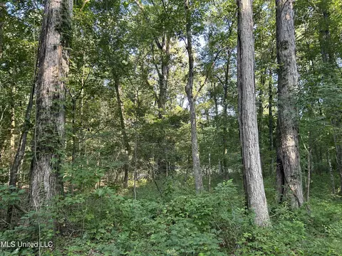 Ms-17, Pickens, MS 39146 photo 25