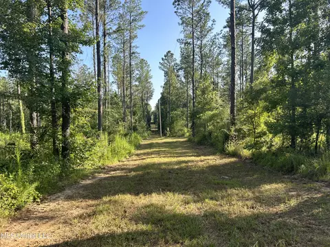 Ms-17, Pickens, MS 39146 photo 13