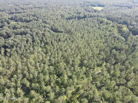 Ms-17, Pickens, MS 39146 photo 52