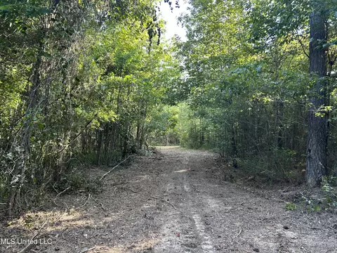 Ms-17, Pickens, MS 39146 photo 16