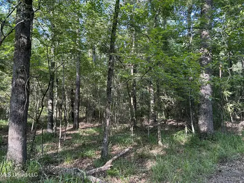 Ms-17, Pickens, MS 39146 photo 19