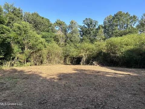 Ms-17, Pickens, MS 39146 photo 20