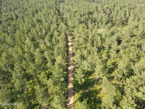 Ms-17, Pickens, MS 39146 photo 41
