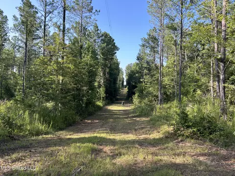 Ms-17, Pickens, MS 39146 photo 27