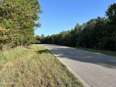 Ms-17, Pickens, MS 39146 photo 21