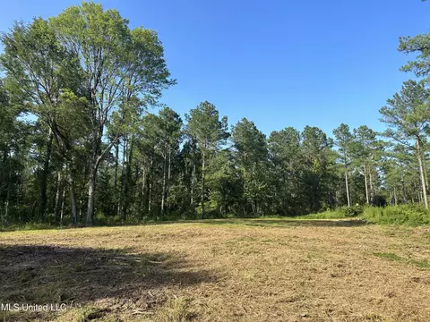 Ms-17, Pickens, MS 39146 photo 14
