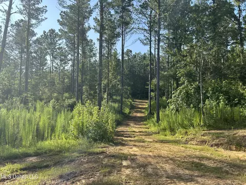 Ms-17, Pickens, MS 39146 photo 12