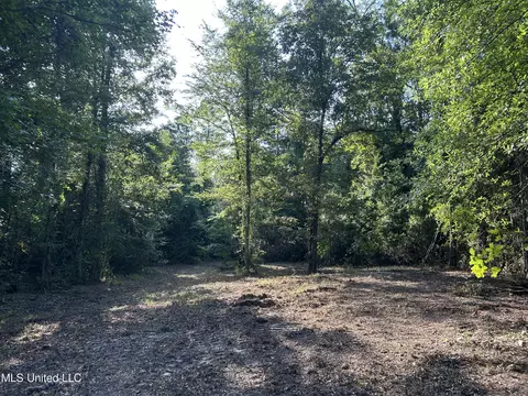 Ms-17, Pickens, MS 39146 photo 18