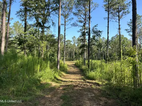 Ms-17, Pickens, MS 39146