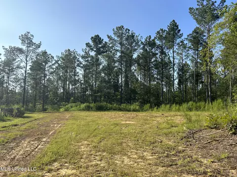 Ms-17, Pickens, MS 39146 photo 9