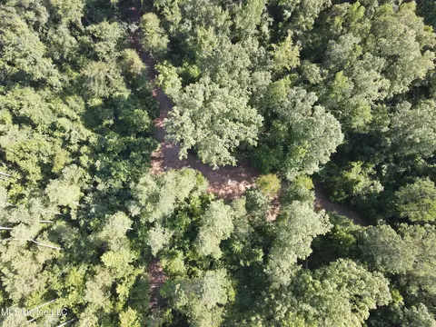 Ms-17, Pickens, MS 39146 photo 40