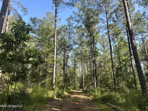 Ms-17, Pickens, MS 39146 photo 5