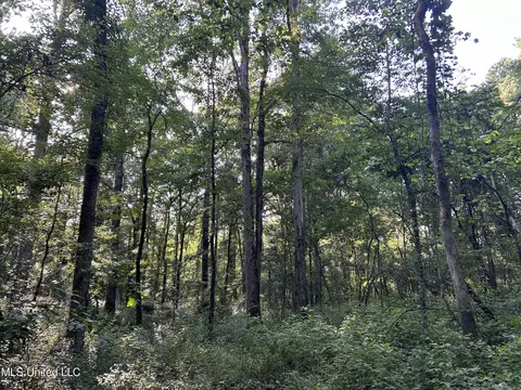 Ms-17, Pickens, MS 39146 photo 24