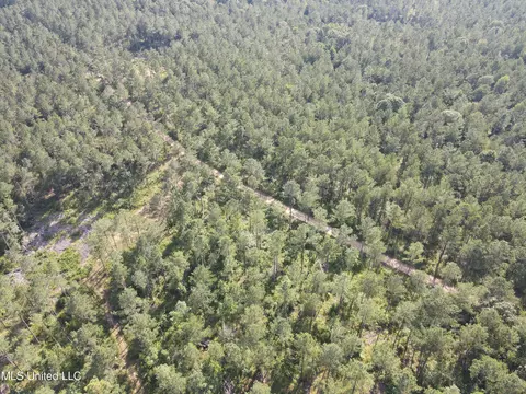 Ms-17, Pickens, MS 39146 photo 45