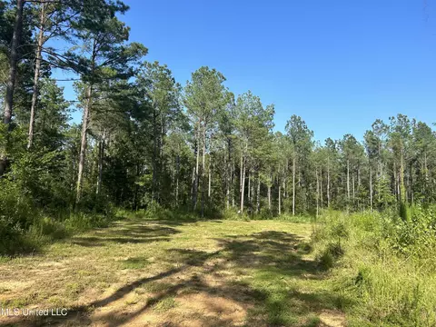 Ms-17, Pickens, MS 39146 photo 3