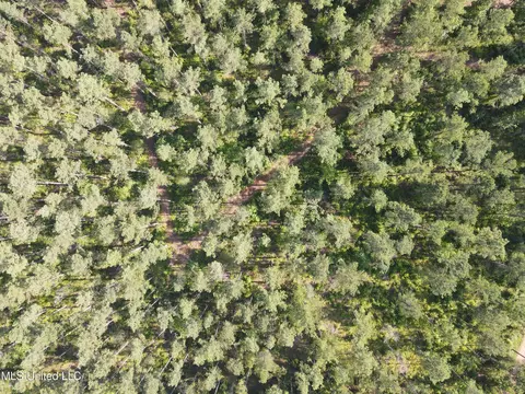 Ms-17, Pickens, MS 39146 photo 46