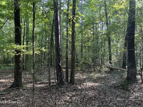 Ms-17, Pickens, MS 39146 photo 17