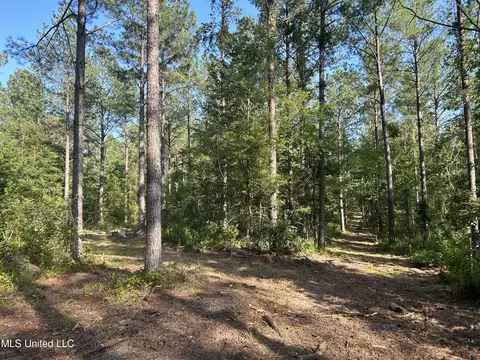 Ms-17, Pickens, MS 39146 photo 4