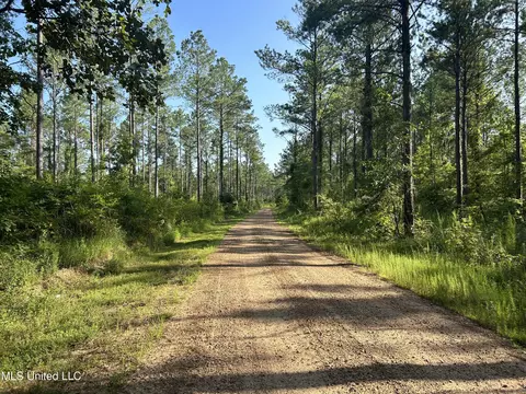 Ms-17, Pickens, MS 39146 photo 8