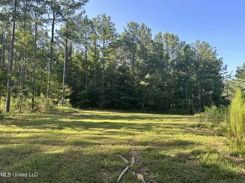 Ms-17, Pickens, MS 39146 photo 6