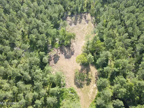 Ms-17, Pickens, MS 39146 photo 51