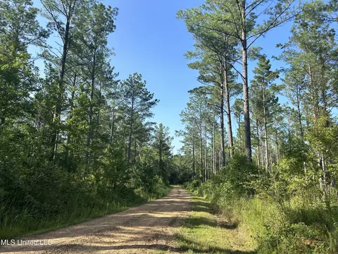 Ms-17, Pickens, MS 39146 photo 2