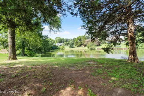 1665 Cedar Lake Cir, Hernando, MS 38632 photo 10